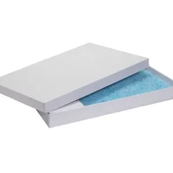 PetSafe Bacs À Litière Et Formation<Bac De Rechange Pour Liti Re Cristal Bleu Scoopfree (Pack De 1)