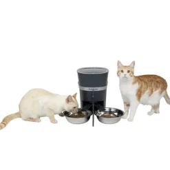 PetSafe Fontaines & Distributeurs De Nourriture<Bol Et S Parateur De Repas Pour 2 Animaux