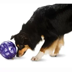 PetSafe Jouets Distributeurs De Friandises<Boule Distributrice De Nourriture Busy Buddy® Kibble Nibble