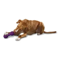 PetSafe Jouets Distributeurs De Friandises<Busy Buddy® Chuckle