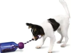 PetSafe Jouets Distributeurs De Friandises<Busy Buddy® Tug-A-Jug