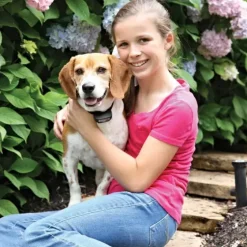 PetSafe Clôtures Anti-Fugue Avec Fil<Cl Ture Anti-Fugue Avec Fil Rechargeable