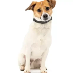 PetSafe Électrostatique<Collier Anti-Aboiement Nanobark