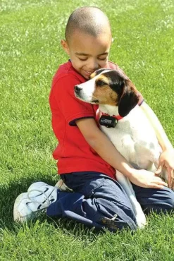 PetSafe Électrostatique<Collier Anti-Aboiements