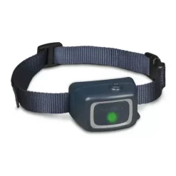 PetSafe Systèmes De Dressage<Collier-R Cepteur Suppl Mentaire Add-A-Dog Pour Syst Me De Dressage Jet De ®