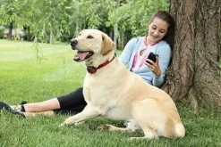 PetSafe Systèmes Anti-Fugue<Collier-R Cepteur Suppl Mentaire Add-A-Dog® Pour Chien T Tu Pour Le Syst Me Anti-Fugue Sans Fil Stay & Play® Wireless Fence