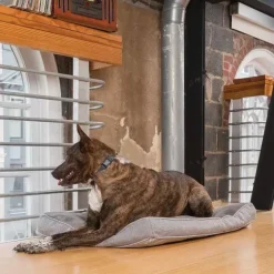 PetSafe Électrostatique<Contrôle Des Aboiements Rechargeable