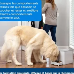 PetSafe Clickers<Dispositif De Dressage Par R Compense T L Command Teach & Treat De ®