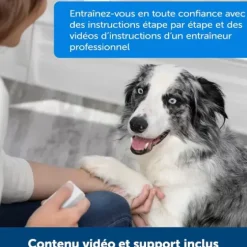 PetSafe Clickers<Dispositif De Dressage Par R Compense T L Command Teach & Treat De ®