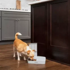 PetSafe Distributeurs De Nourriture<Distributeur Automatique De Croquettes Pour 2 Repas De ®
