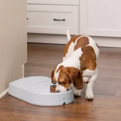 PetSafe Distributeurs De Nourriture<Distributeur De Croquettes Pour Cinq Repas ®