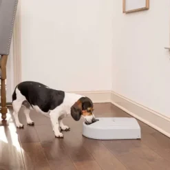 PetSafe Distributeurs De Nourriture<Distributeur De Croquettes Pour Cinq Repas ®