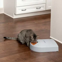 PetSafe Distributeurs De Nourriture<Distributeur De Croquettes Pour Cinq Repas ®