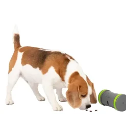 PetSafe Jouets Distributeurs De Friandises<Distributeur Mobile De Croquettes Kibble Chase De ®