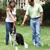 PetSafe Systèmes Anti-Fugue<Fil Et Fanions Suppl Mentaires