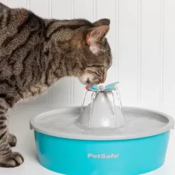 PetSafe Fontaines<Fontaine Eau Papillon Drinkwell® De Pour Animaux De Compagnie