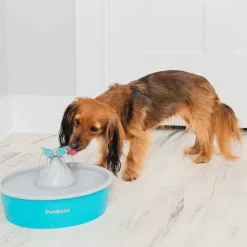 PetSafe Fontaines<Fontaine Eau Papillon Drinkwell® De Pour Animaux De Compagnie
