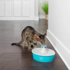PetSafe Fontaines<Fontaine Eau Papillon Drinkwell® De Pour Animaux De Compagnie