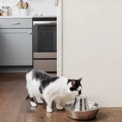 PetSafe Fontaines<Fontaine En Acier Inoxydable ® Pour Animaux De Compagnie Seaside