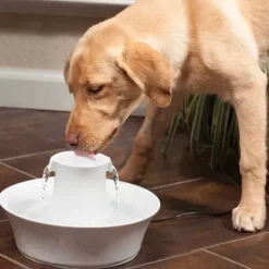 PetSafe Fontaines<Fontaine En C Ramique Pour Animaux De Compagnie Drinkwell® Avalon