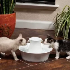 PetSafe Fontaines<Fontaine En C Ramique Pour Animaux De Compagnie Drinkwell® Avalon