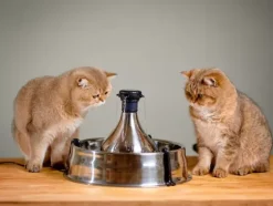 PetSafe Fontaines<Fontaine Pour Animaux De Compagnie En Acier Inoxydable 360 Drinkwell®