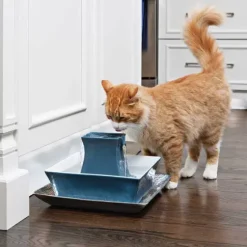 PetSafe Fontaines<Fontaine Pour Animaux De Compagnie Drinkwell® Pagoda