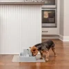 PetSafe Fontaines<Fontaine Pour Animaux De 1,8 Litres Drinkwell®