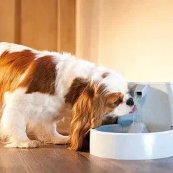 PetSafe Fontaines<Fontaine Pour Animaux De Compagnie Drinkwell® Original