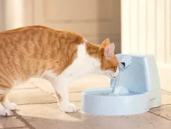 PetSafe Fontaines<Fontaine Pour Animaux De Compagnie Drinkwell® Original