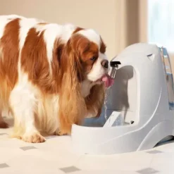 PetSafe Fontaines<Fontaine Pour Animaux De Compagnie Drinkwell® Platinum