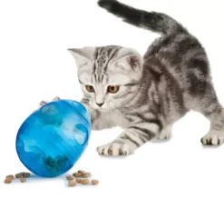 PetSafe Jouets Pour Chats<Funkitty Egg-Cersizer