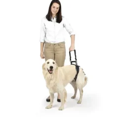 PetSafe Accès Et Mobilité<Harnais De Levage Arri Re Carelift De ®