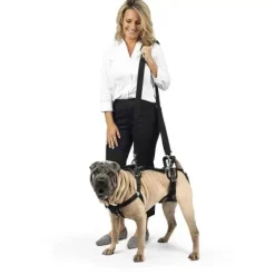 PetSafe Accès Et Mobilité<Harnais De Levage Carelift De ®