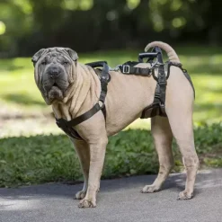 PetSafe Accès Et Mobilité<Harnais De Levage Carelift De ®