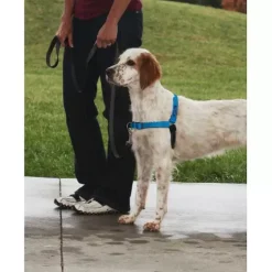 PetSafe Colliers, Harnais Et Licols<Harnais Deluxe Easy Walk®