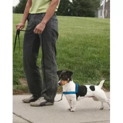 PetSafe Colliers, Harnais Et Licols<Harnais Deluxe Easy Walk®