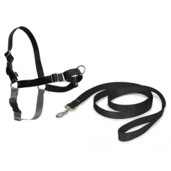 PetSafe Colliers, Harnais Et Licols<Harnais Easy Walk®