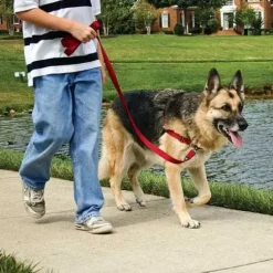 PetSafe Colliers, Harnais Et Licols<Harnais Easy Walk®