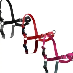 PetSafe Colliers, Harnais Et Licols<Harnais Easy Walk®