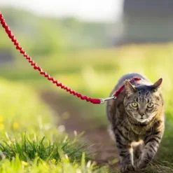PetSafe Colliers, Harnais Et Licols<Harnais Pour Chats Easy Walk