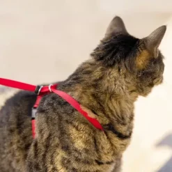 PetSafe Colliers, Harnais Et Licols<Harnais Pour Chats Easy Walk