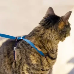 PetSafe Colliers, Harnais Et Licols<Harnais Pour Chats Easy Walk