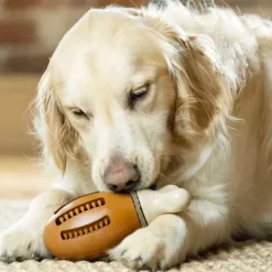 PetSafe Jouets Distributeurs De Friandises<Jouet Friandises Chompin' Chicken Pour Chien