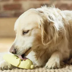 PetSafe Jouets Distributeurs De Friandises<Jouet Friandises Congelable Pour Chiens Frosty Cone