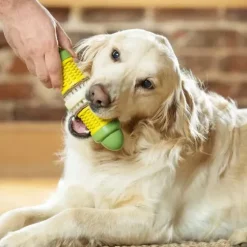 PetSafe Jouets Distributeurs De Friandises<Jouet Friandises Cravin' Corncob Pour Chien