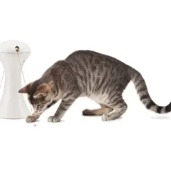 PetSafe Jouets Pour Chats<Jouet Multi-Lasers