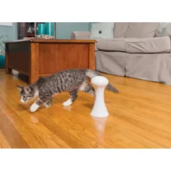 PetSafe Jouets Pour Chats<Jouet Multi-Lasers