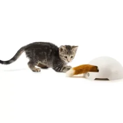 PetSafe Jouets Pour Chats<Jouet Terrier Du Renard Jeu Casse-T Te Automatique Pour Chats