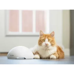 PetSafe Jouets Pour Chats<Jouet Terrier Du Renard Jeu Casse-T Te Automatique Pour Chats